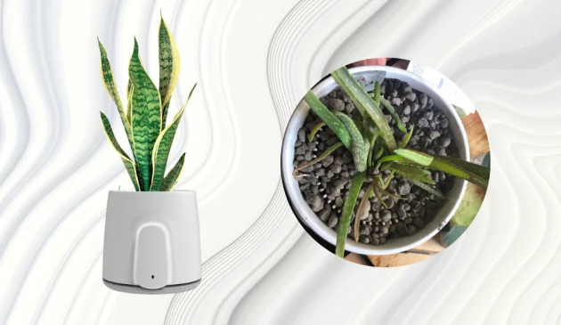 Vitesy Natede Smart Air Purifier