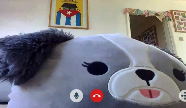 A still of a phone call made to the Miko Mini, showing the face of a dog Squishmallow