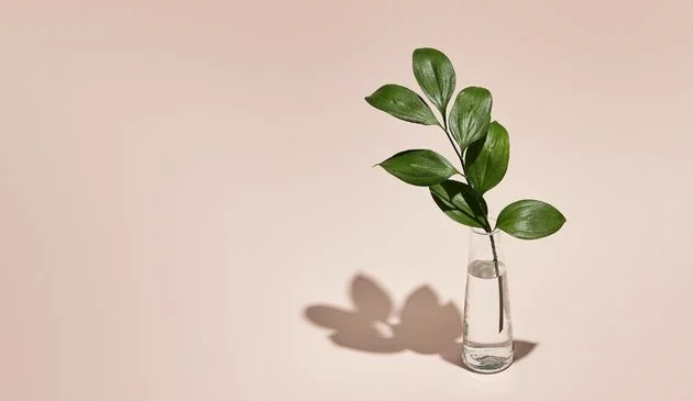 Beauty trends and how to achieve them