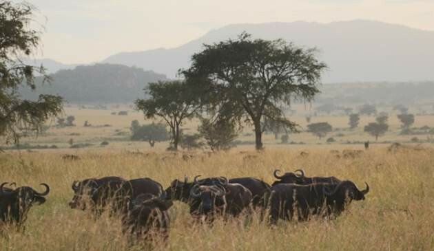 South Africa