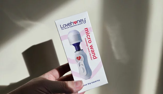 Lovehoney 3-Speed Micro Magic Wand Vibrator review