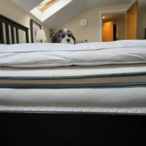 A puppy sits on top of the Soak & Sleep Goose Down Mattress Topper