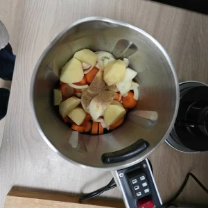 Chopped vegetables inside the Morphy Richards Total Control soup maker
