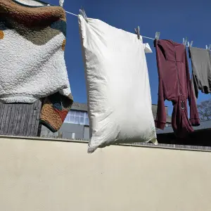 Ava Innes Luxury Wool & Organic Cotton Bed Pillow on the washing line