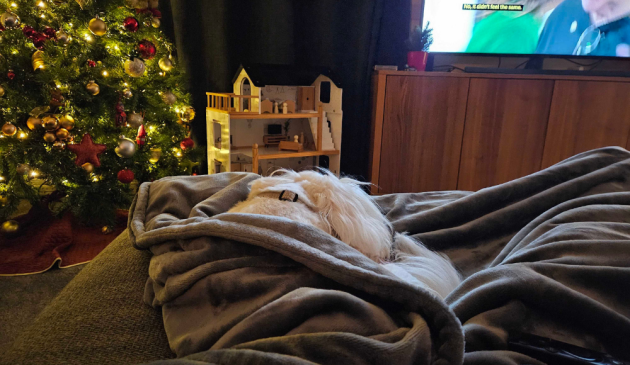 The Snuggler Heated Throw Blanket