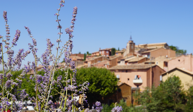 an provencal village with lavender in the foreground