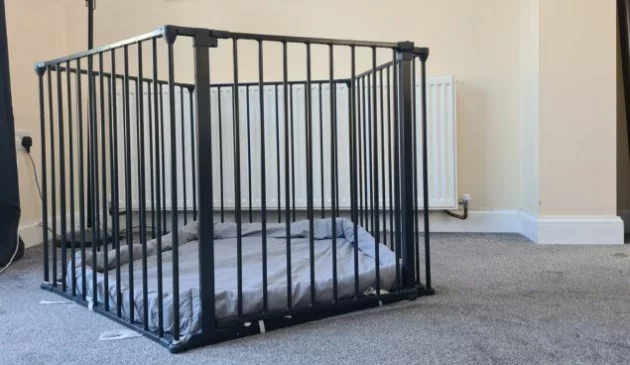 BabyDan Deluxe Playpen review