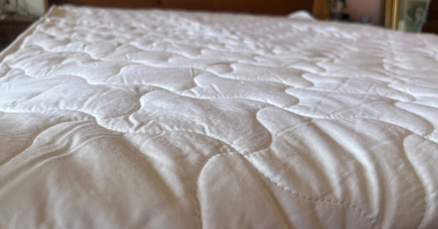 Dreamland Pure Comfort Bamboo Electric Blanket