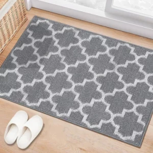 Aoonby Non Slip Doormat