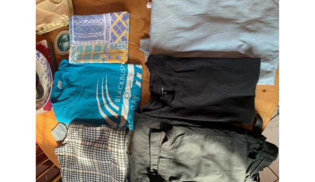 Russell Hobbs Travel Iron