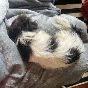 Mia & Coco Electric Heated Blanket Throw