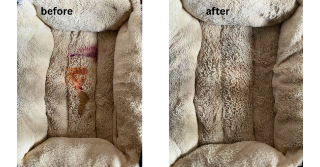 Mumsnet home editor Poppy O'Neill testing the Bissell SpotClean Pro