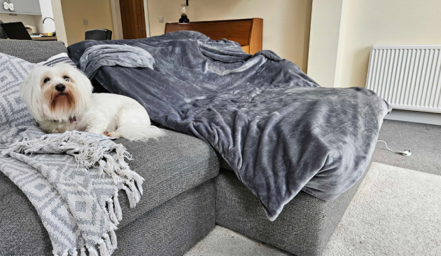 Bailey the dog next to The Snuggler Heated Throw