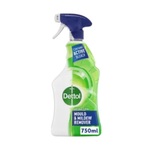 Dettol Mould and Mildew Remover