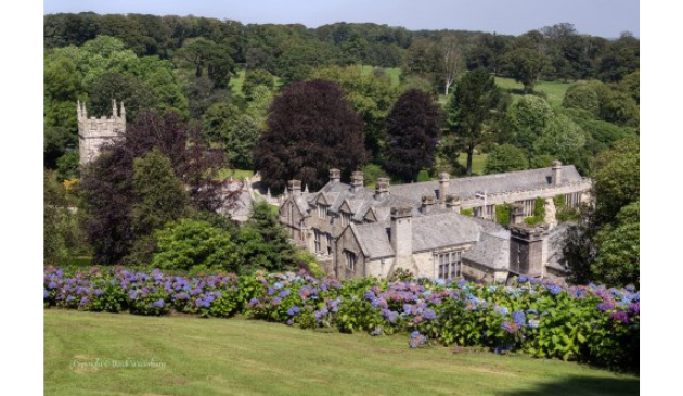 a stately home behind a flowerbed