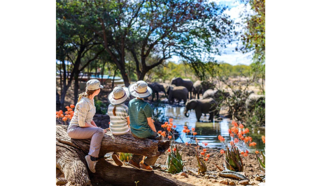 a mum and children watch elephants at a watering hole