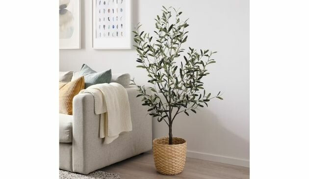 Ikea Fejka olive tree