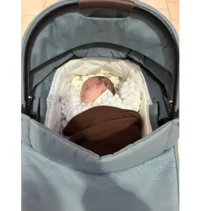 baby inside Cybex Talos S carrycot