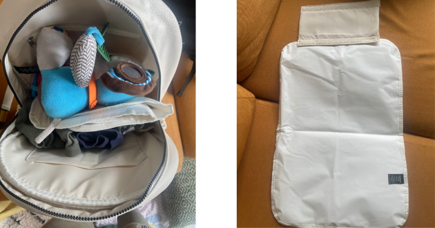 Ickle bubba Lyra backpack with matt