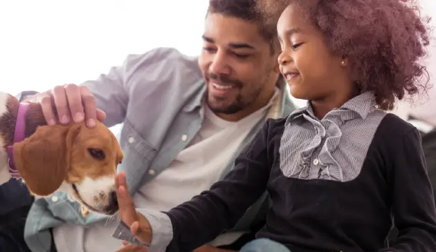 A father and daughter stroke their beagle on the nose
