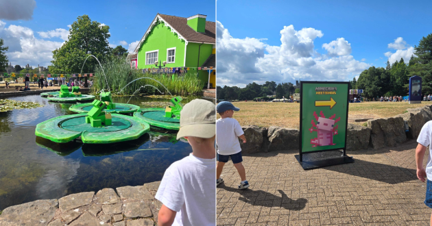 Minecraft-themed frog models on lily pads and a Meet the Mobs direction sign