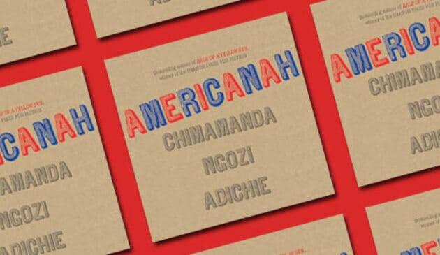 Americanah Book