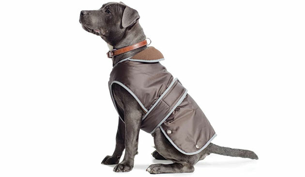 Ancol Stormguard dog coat
