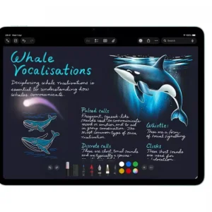 Apple iPad 13 inch