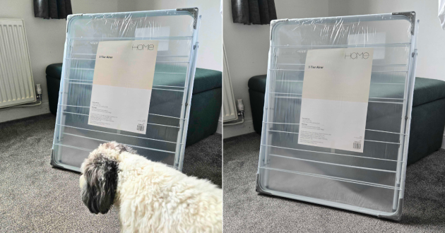 Folded Argos Home 3-Tier Indoor Airer wrapped in plastic as the tester’s dog investigates the new arrival