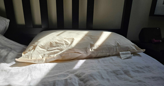 A view of the Ava Innes pillow in the sun on the bed