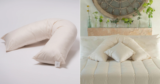 Ava Innes V-Shaped Pillow professional pictures