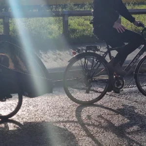 Axkid Grand Tour bike trailer