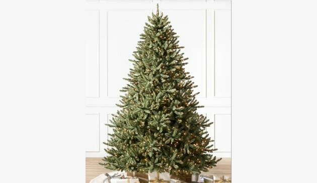 Balsam Hill Canadian Blue Green Spruce