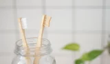 Bamboo Toothbrush