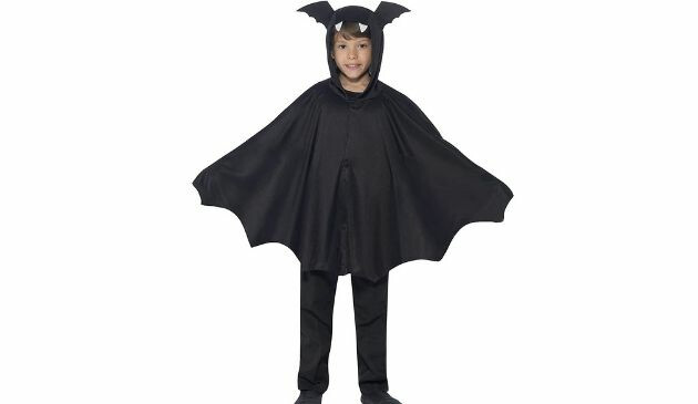 bat halloween costume