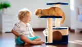 Child and cat on cat tree