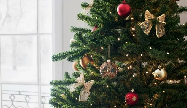 Decorated Christmas tree