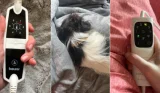 A grid showing electric blankets and heated throws during testing