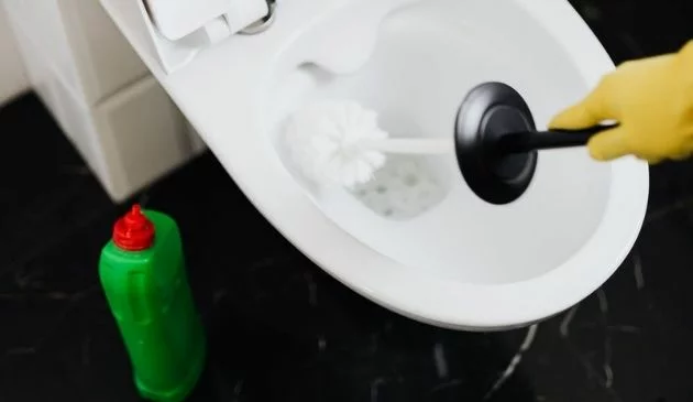 Cleaning the Toilet Bowl with a Toilet Brush and Toilet Cleaner