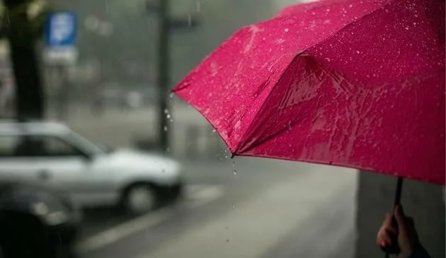 Woman holding an umbrella in the rain