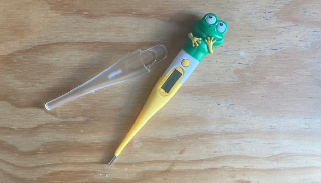 Beurer BY11 Instant Thermometer