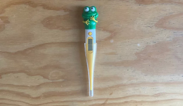 Beurer BY11 Instant Thermometer