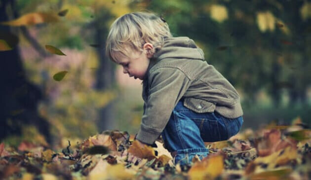 Toddler kneeling in pile of autumn leaves