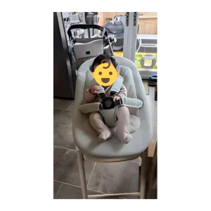 Bugaboo giraffe highchair