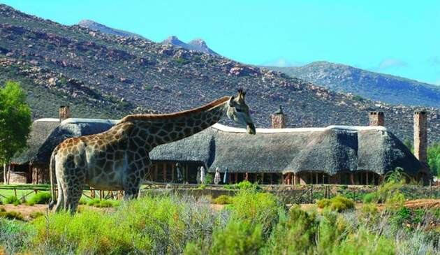 Aquila Private Game Reserve & Spa