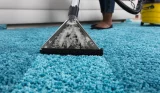 Best carpet shampoo