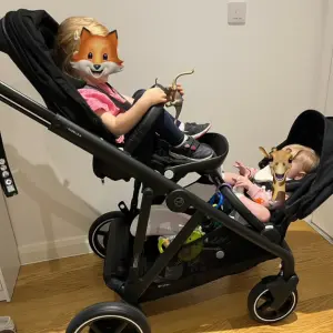 cybex e-gazelle