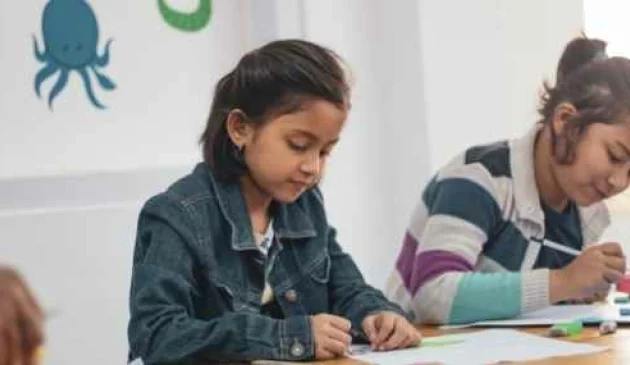 Children in school learning