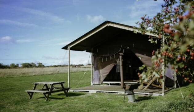 College Farm Feather Down Farms