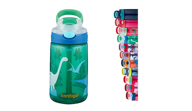 Contigo Water Bottle